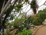 Eden project