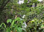 Eden project