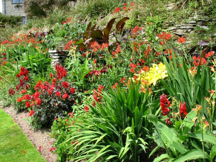 Flower Beds - Coleton Fishacre