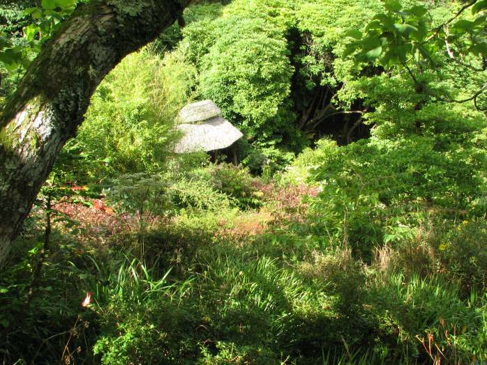 Cotehele - Valley Gardens