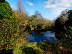 Cotehele