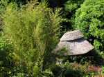 Cotehele Gardens, the Summer House