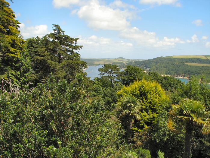 Salcombe estuary