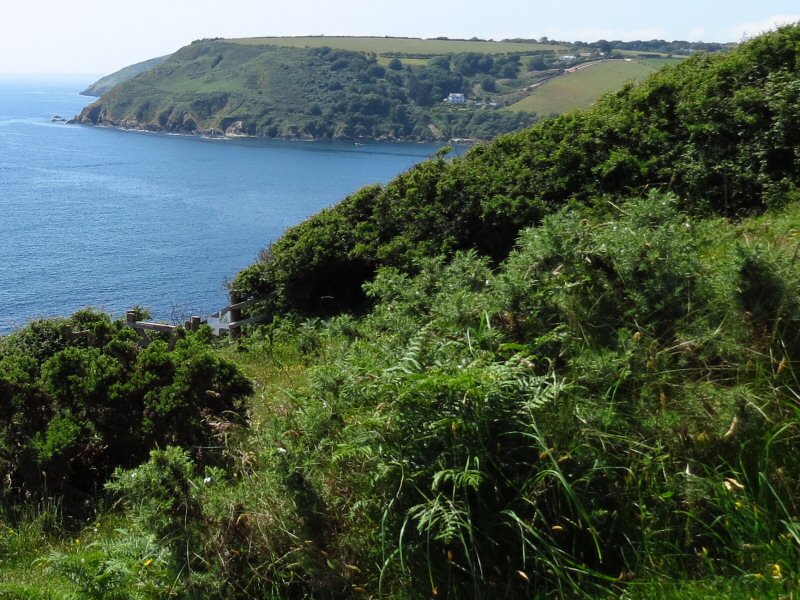 Hannafore to Talland Bay, Cornwall