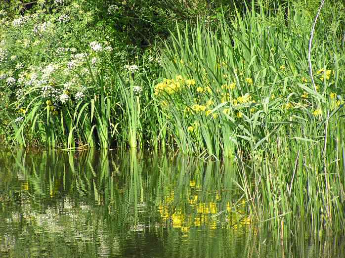 Slapton Ley