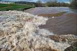 River Exe in flood