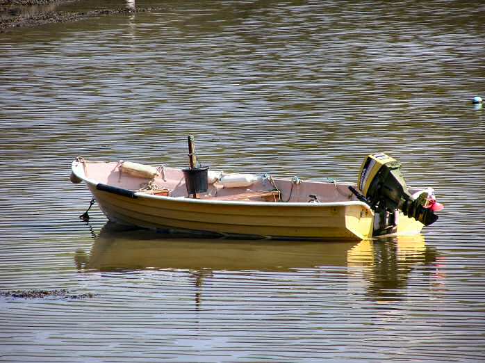 Springtime on the river