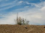 Slapton Dunes