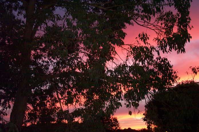 Tropical Sunset over Devon