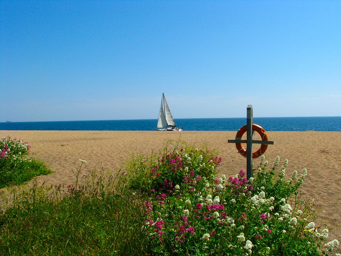 Beach towards Start Bay